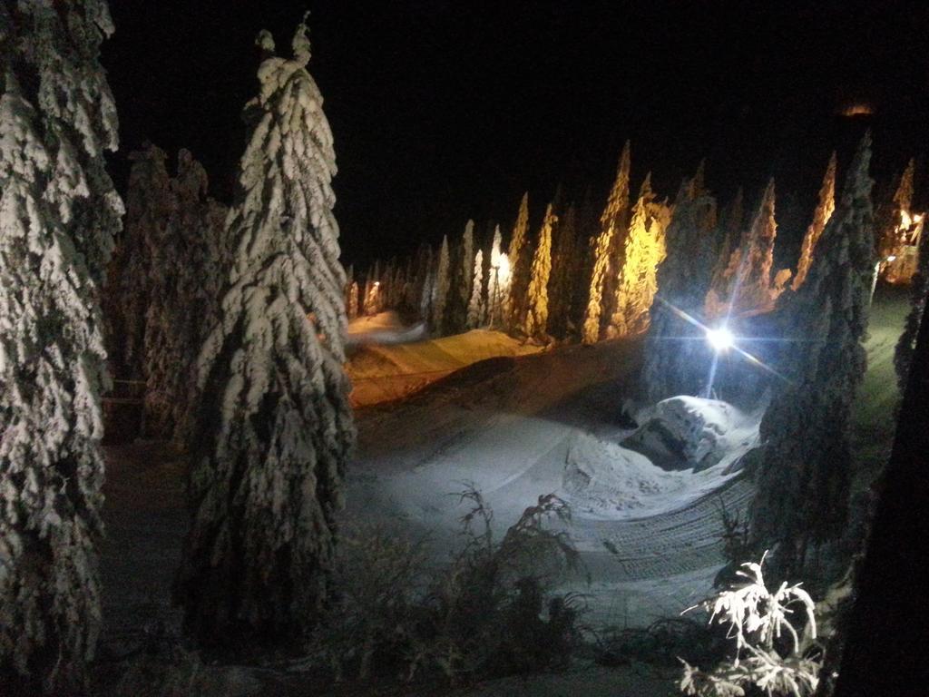Koli Freetime Cottages Ahmovaara Extérieur photo