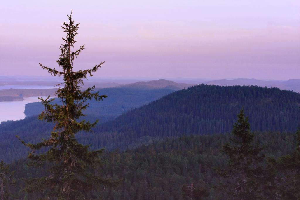 Koli Freetime Cottages Ahmovaara Chambre photo